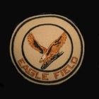 Felt Eagle Field Patch